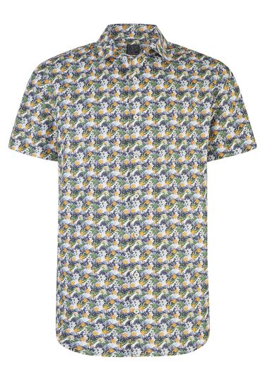 Modernes Hemd, kiwi Frontansicht