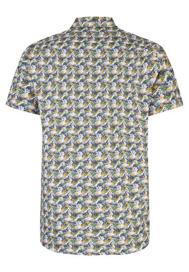 Modernes Hemd, kiwi Rückansicht