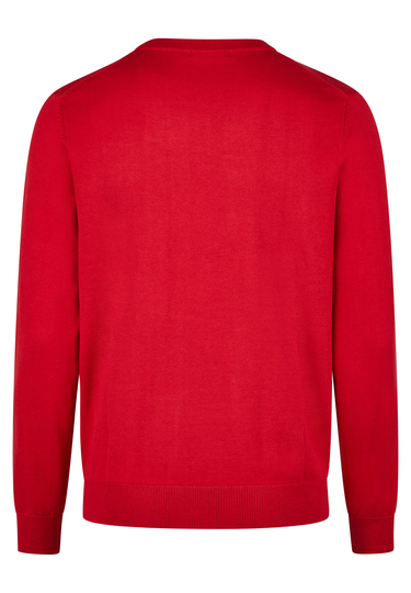 HECHTER PARIS Pullover, chili Rückansicht