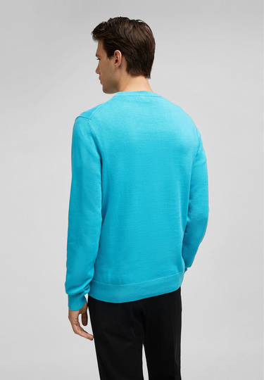 HECHTER PARIS Pullover, turquoise Rückansicht