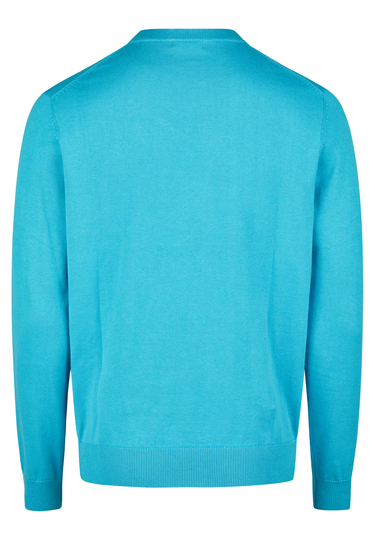 HECHTER PARIS Pullover, turquoise